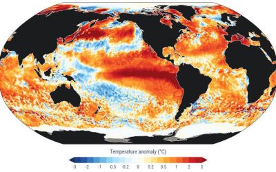 crisi climatica